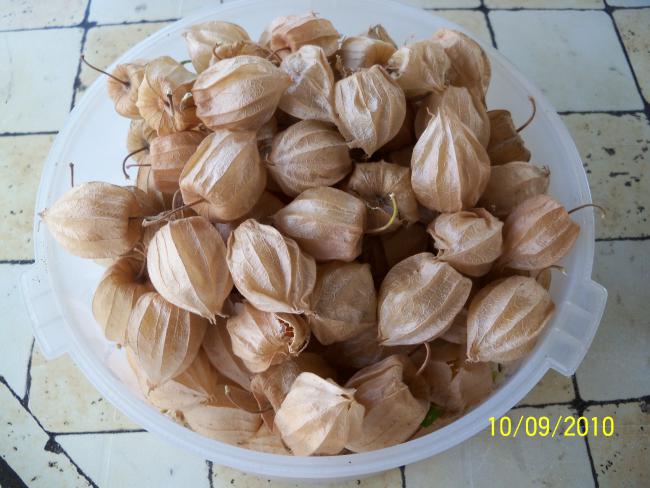 Name:  YEN 175.jpg
Views: 714
Size:  49.6 KB