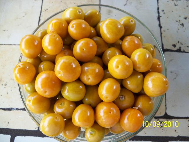 Name:  YEN 177.jpg
Views: 778
Size:  45.8 KB