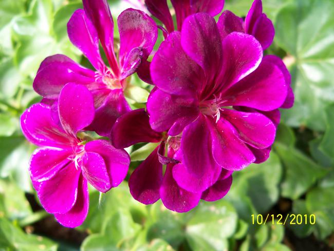 Name:  100_0095.jpg
Views: 632
Size:  52.2 KB