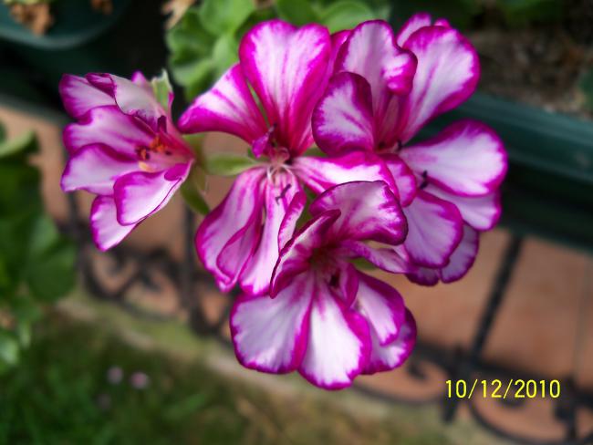 Name:  100_0097.jpg
Views: 634
Size:  39.6 KB