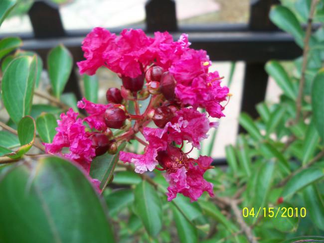 Name:  YEN 145.jpg
Views: 676
Size:  44.9 KB