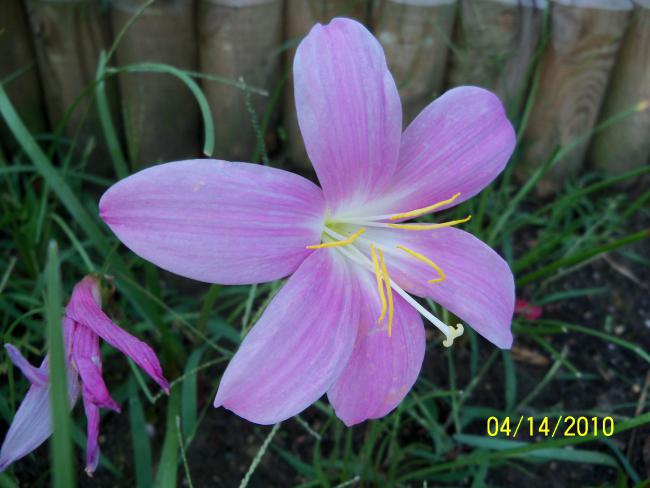 Name:  YEN 041.jpg
Views: 649
Size:  40.9 KB