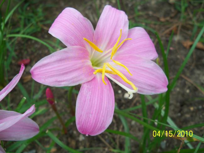 Name:  YEN 136.jpg
Views: 637
Size:  39.1 KB