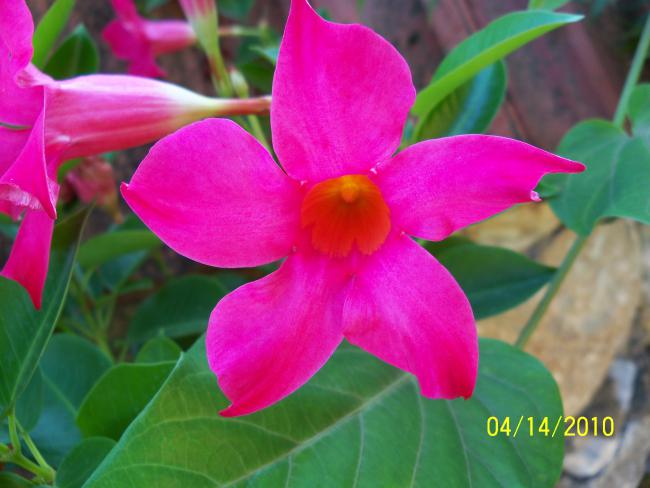 Name:  YEN 069.jpg
Views: 719
Size:  38.7 KB