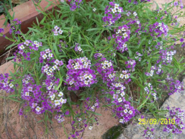 Name:  YEN 407.jpg
Views: 709
Size:  70.7 KB