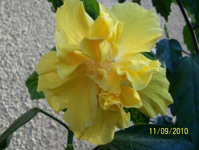 Name:  YEN 246.jpg
Views: 623
Size:  39.4 KB