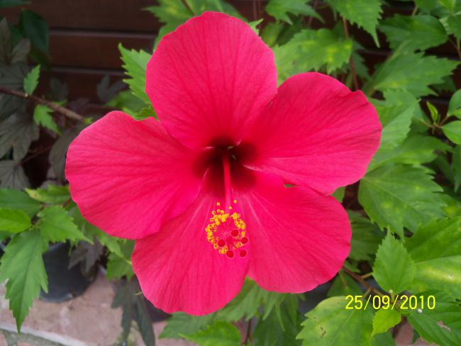 Name:  YEN 319.jpg
Views: 658
Size:  40.2 KB