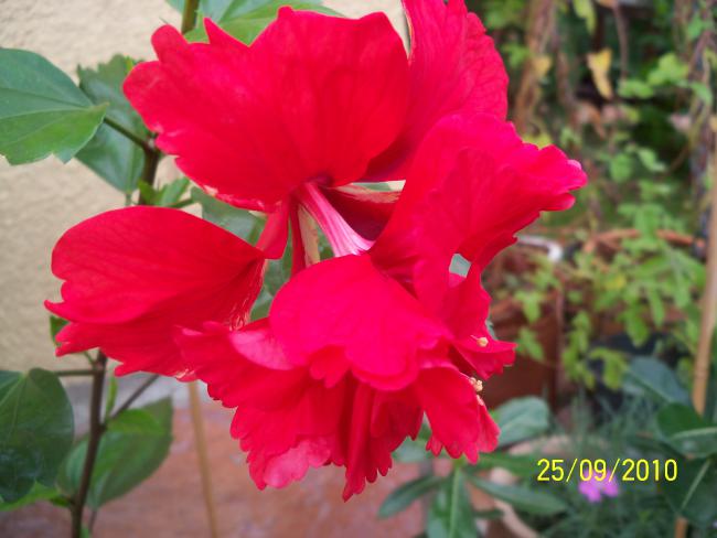 Name:  YEN 321.jpg
Views: 622
Size:  37.7 KB
