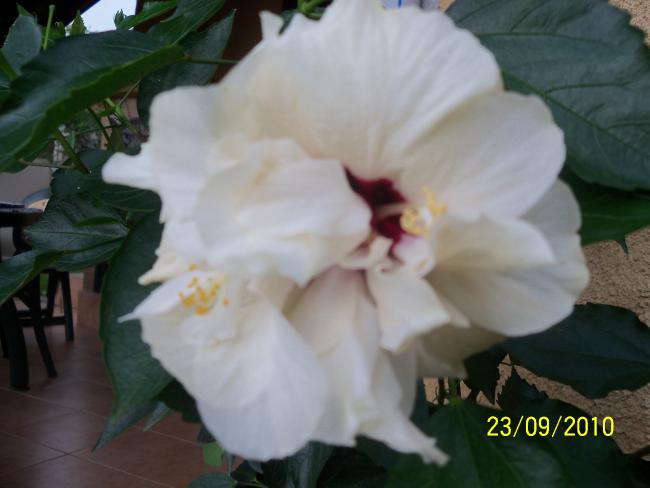 Name:  YEN 306.jpg
Views: 612
Size:  31.3 KB