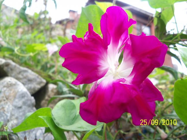 Name:  YEN 374.jpg
Views: 805
Size:  44.2 KB