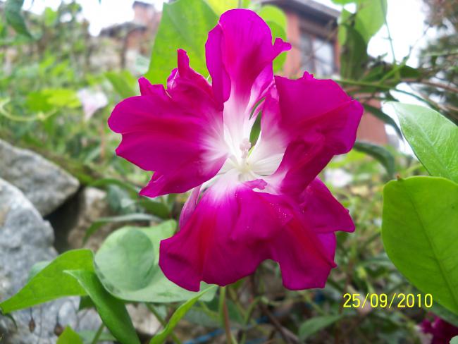 Name:  YEN 375.jpg
Views: 780
Size:  43.8 KB