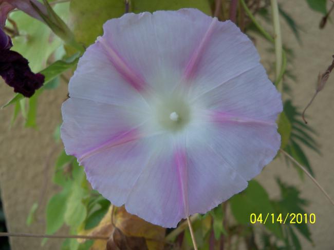 Name:  YEN 033.jpg
Views: 768
Size:  28.0 KB