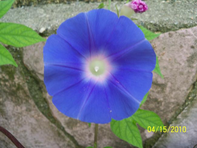 Name:  YEN 123.jpg
Views: 748
Size:  35.9 KB