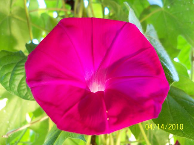 Name:  YEN 064.jpg
Views: 723
Size:  34.3 KB