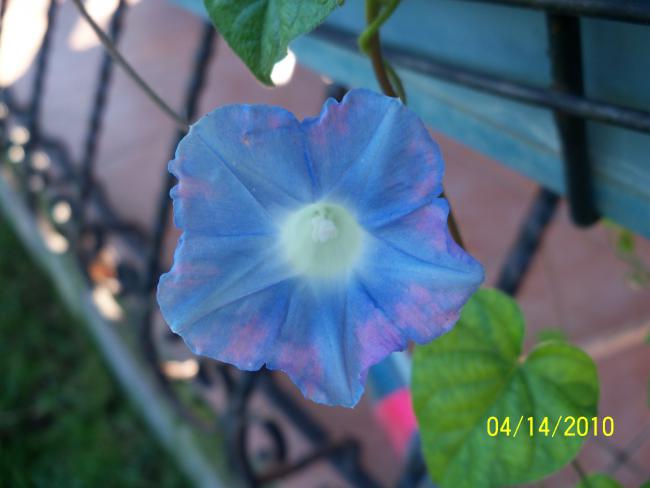 Name:  YEN 061.jpg
Views: 765
Size:  30.1 KB