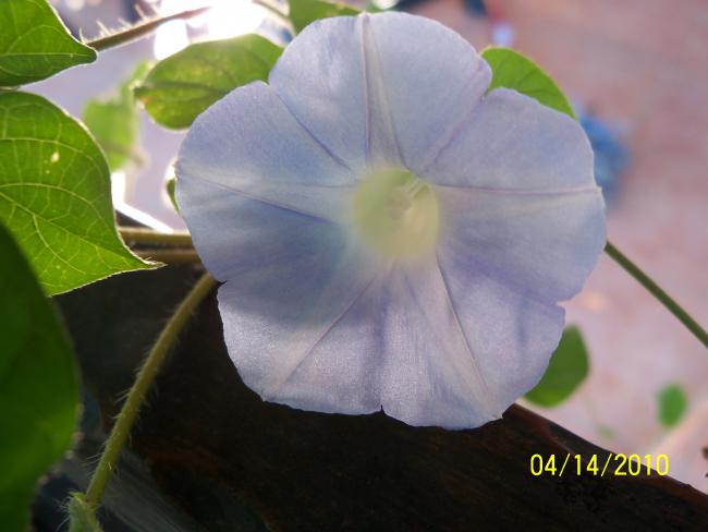 Name:  YEN 062.jpg
Views: 741
Size:  30.9 KB