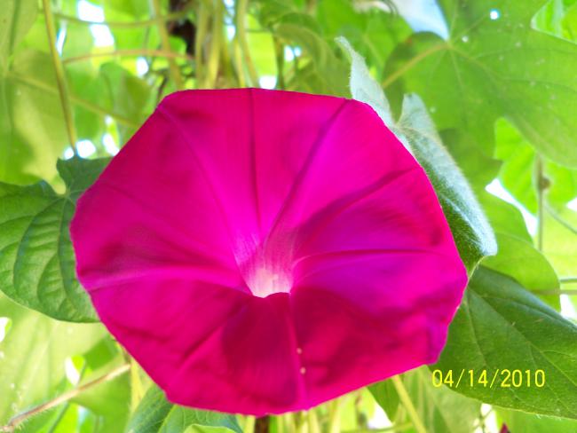 Name:  YEN 063.jpg
Views: 748
Size:  36.9 KB