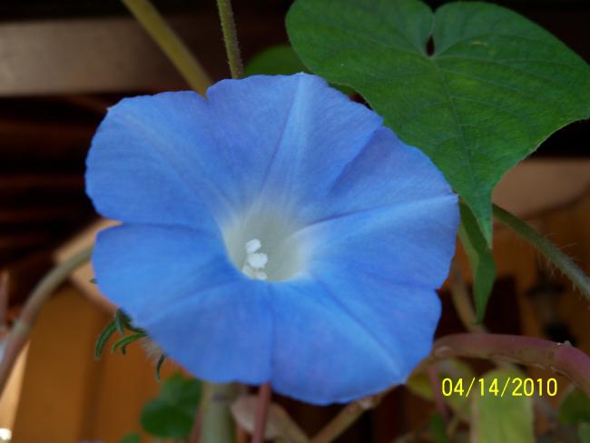 Name:  YEN 066.jpg
Views: 725
Size:  26.5 KB