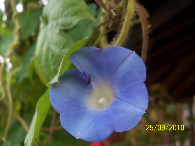 Name:  YEN 344.jpg
Views: 731
Size:  28.6 KB