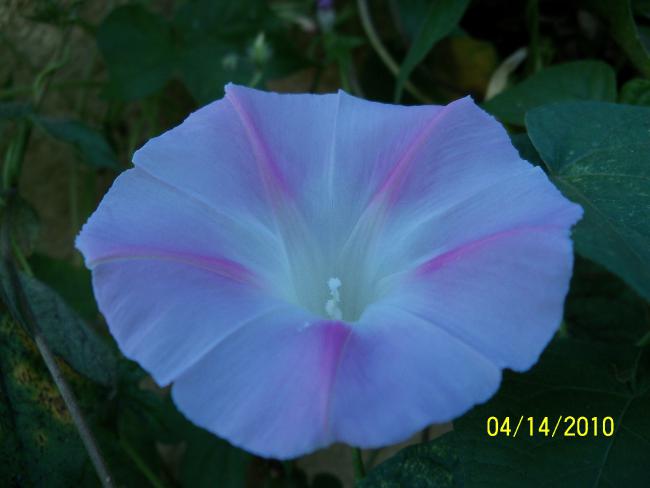 Name:  YEN 037.jpg
Views: 745
Size:  25.6 KB