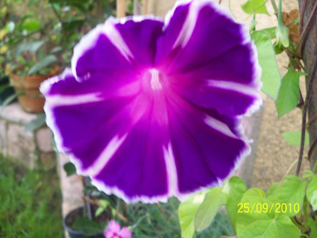 Name:  YEN 323.jpg
Views: 724
Size:  38.2 KB