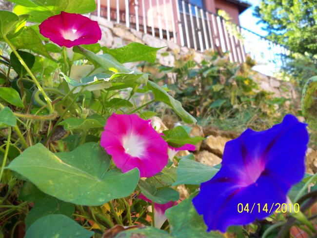 Name:  YEN 074.jpg
Views: 694
Size:  59.5 KB