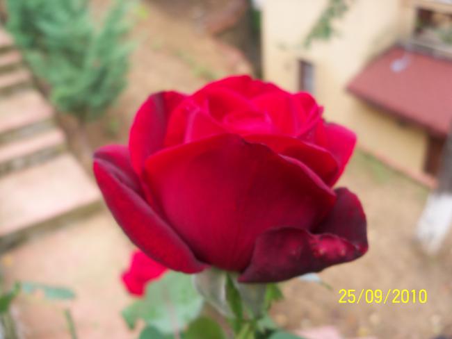 Name:  YEN 337.jpg
Views: 670
Size:  24.3 KB