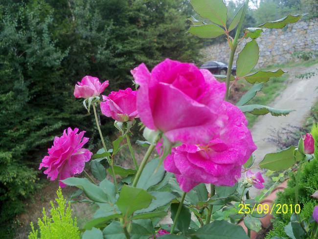 Name:  YEN 389.jpg
Views: 629
Size:  60.3 KB