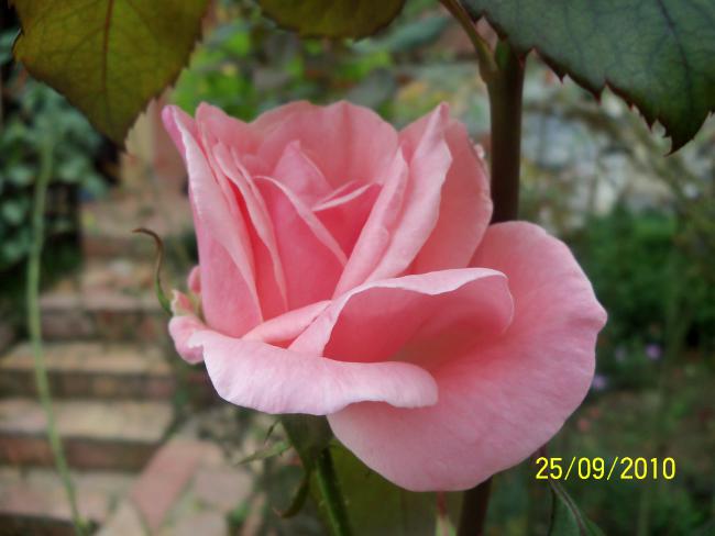 Name:  YEN 413.jpg
Views: 610
Size:  32.8 KB