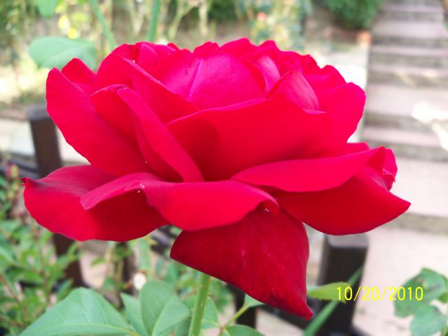 Name:  Z915 053.jpg
Views: 612
Size:  34.3 KB