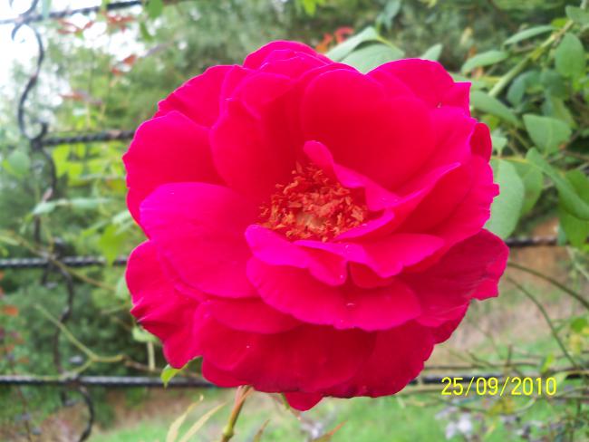 Name:  YEN 370.jpg
Views: 600
Size:  40.1 KB
