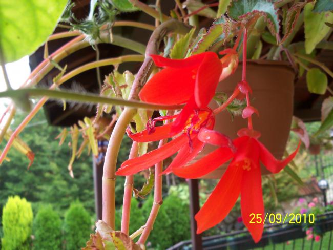 Name:  YEN 348.jpg
Views: 606
Size:  51.6 KB