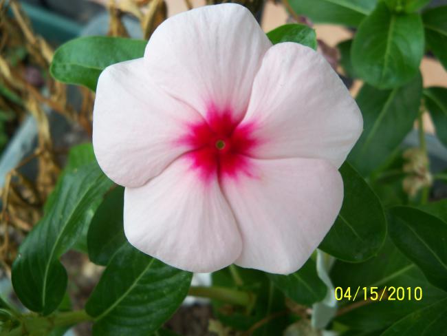 Name:  YEN 152.jpg
Views: 610
Size:  32.4 KB