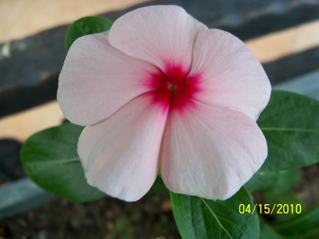 Name:  YEN 153.jpg
Views: 624
Size:  26.9 KB