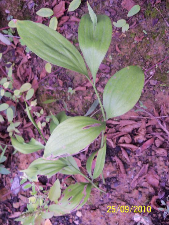 Name:  YEN 427.jpg
Views: 789
Size:  76.2 KB