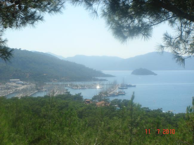 Name:  DSC01868.jpg
Views: 834
Size:  43.3 KB