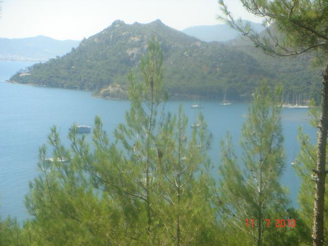 Name:  DSC01881.jpg
Views: 820
Size:  42.7 KB