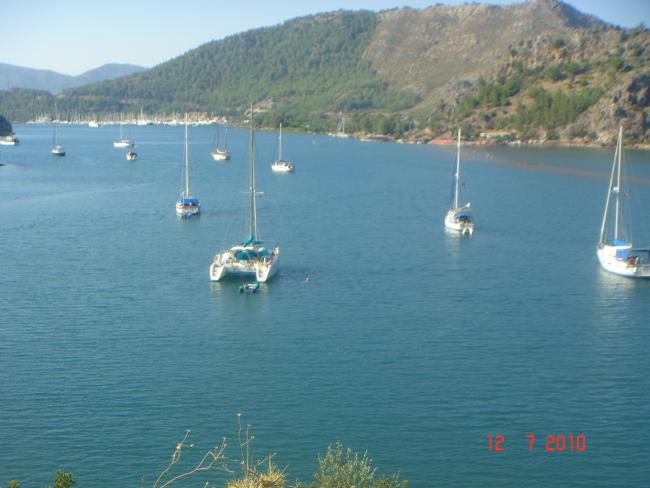 Name:  DSC02105.jpg
Views: 820
Size:  39.3 KB