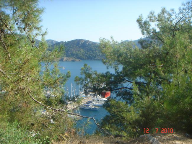 Name:  DSC02117.jpg
Views: 813
Size:  67.9 KB