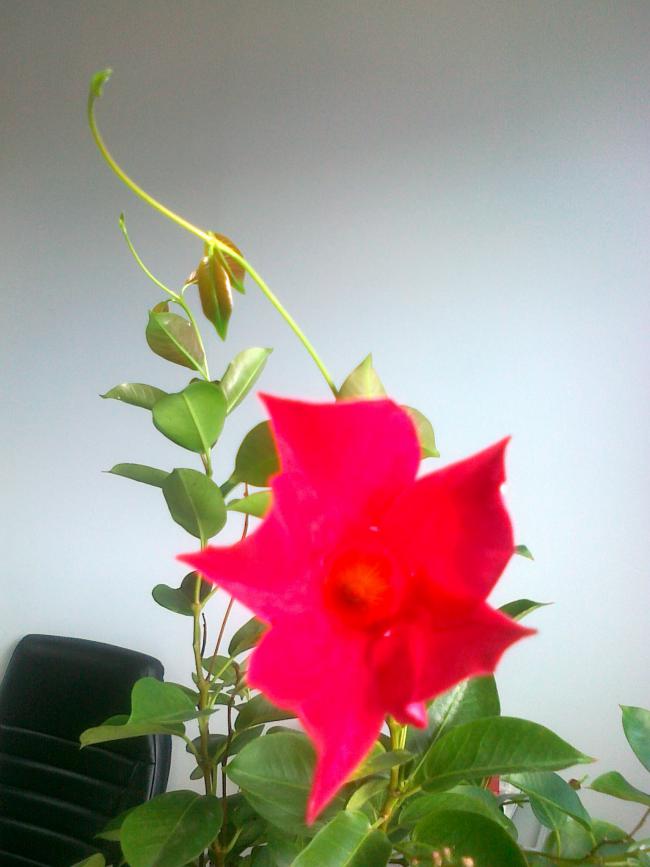 Name:  25102010010.jpg
Views: 784
Size:  47.0 KB