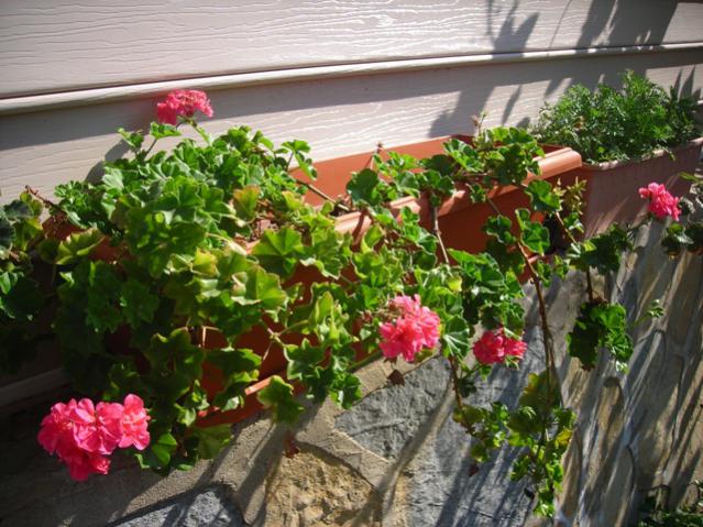Name:  DSCN3725.jpg
Views: 493
Size:  66.4 KB
