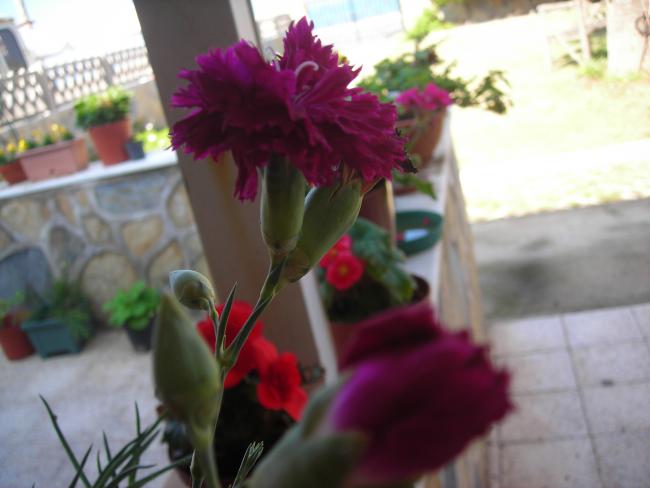 Name:  DSCN3740.jpg
Views: 483
Size:  32.7 KB