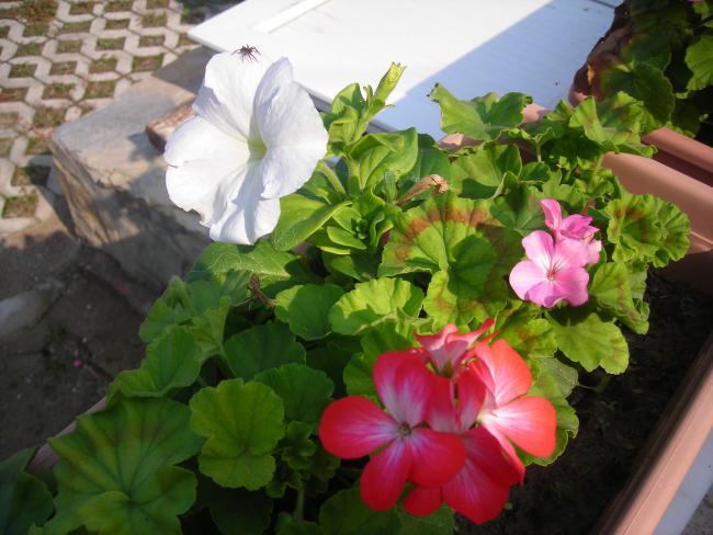 Name:  DSCN3685.jpg
Views: 514
Size:  48.9 KB