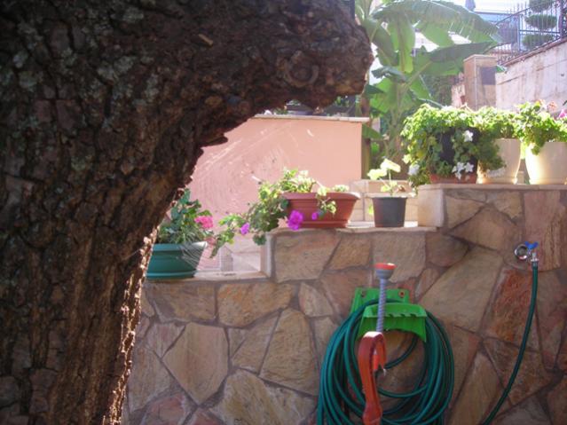 Name:  DSCN3757.jpg
Views: 456
Size:  48.3 KB