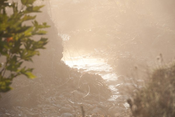 Name:  _DSC4477 (600 x 399).jpg
Views: 793
Size:  39.1 KB