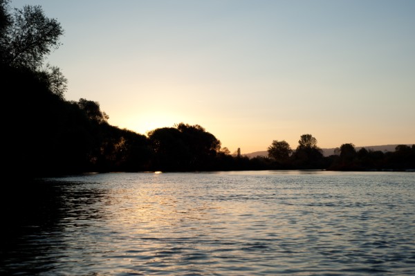 Name:  _DSC4398 (600 x 399).jpg
Views: 811
Size:  47.1 KB