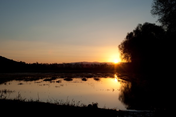 Name:  _DSC4407 (600 x 399).jpg
Views: 805
Size:  30.7 KB