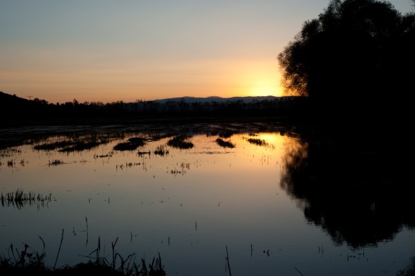 Name:  _DSC4417 (600 x 399).jpg
Views: 794
Size:  32.3 KB