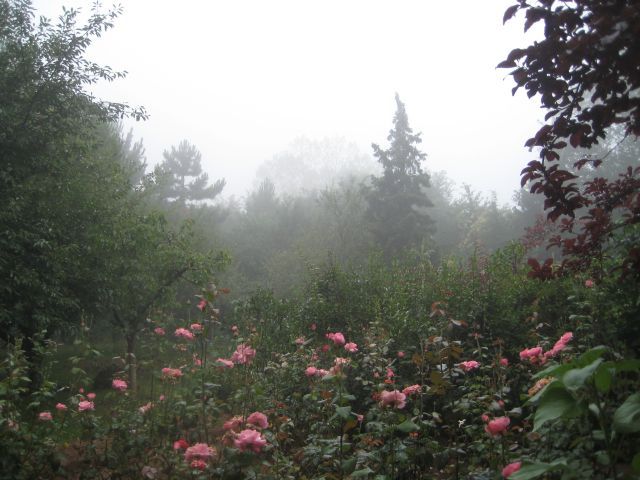 Name:  IMG_1981.jpg
Views: 1157
Size:  64.2 KB