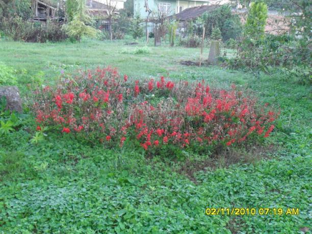 Name:  SDC15864.jpg
Views: 584
Size:  71.5 KB